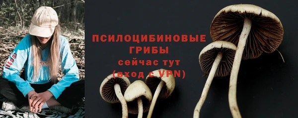 винт Белоозёрский