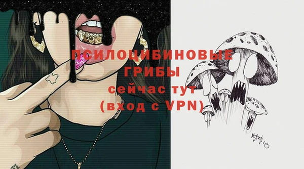 COCAINE Богородицк