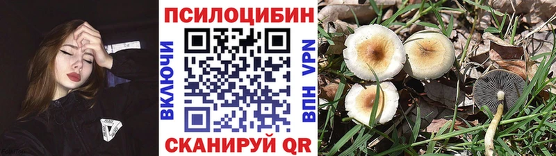 Галлюциногенные грибы прущие грибы  Белинский 